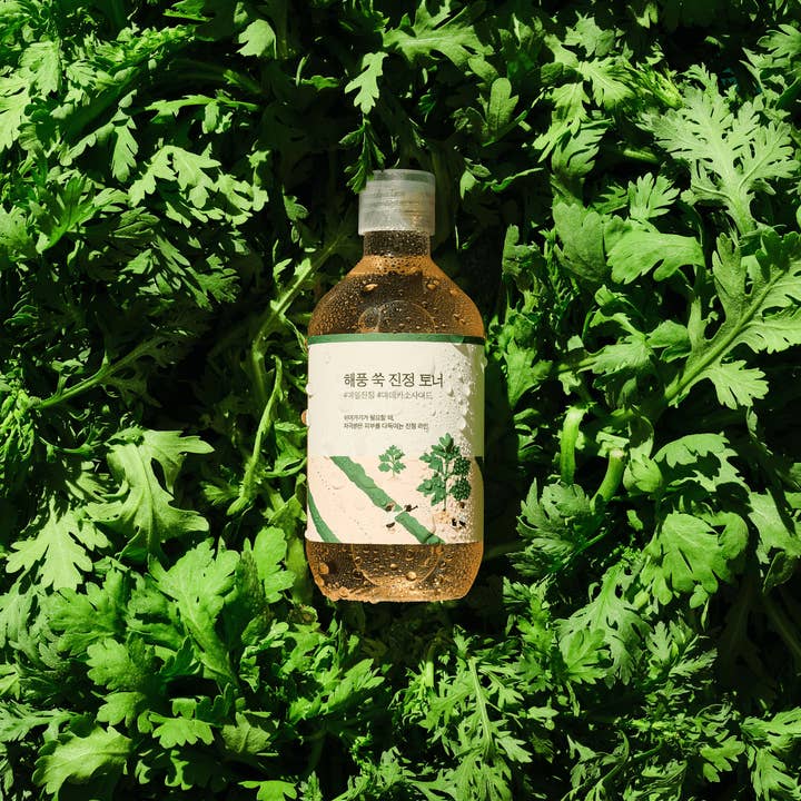 Round Lab - Mugwort Calming Toner - Korean - The SkinCare