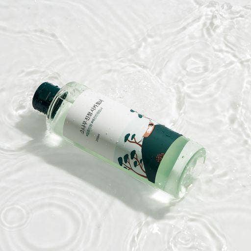 Round Lab - Pine Calming Cica Toner - Korean - The SkinCare