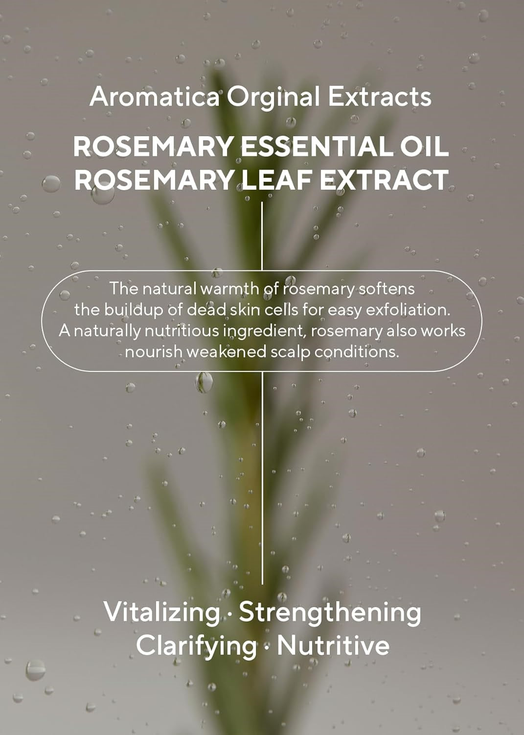 AROMATICA - Rosemary 3-in-1 Treatment 160ml - Original Korean